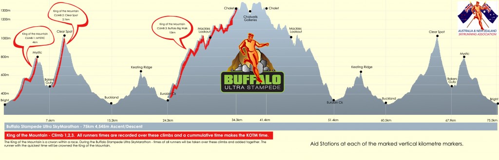 Ultra-Stampede-Profile